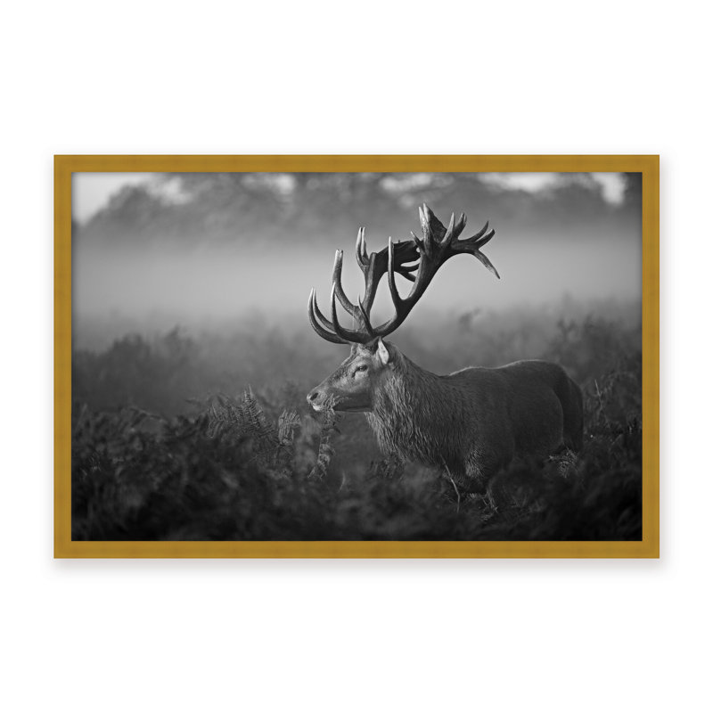 Nature Inspired Sunny Morning by  - Picture Frame Photograph on Paper, 32" H x 48" W x 1.125" D, Framed Matted Print, White