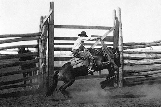 « bronco » par l.a. huffman-reproduction de photo, H 20 po x l 30 po x P 1,5 po