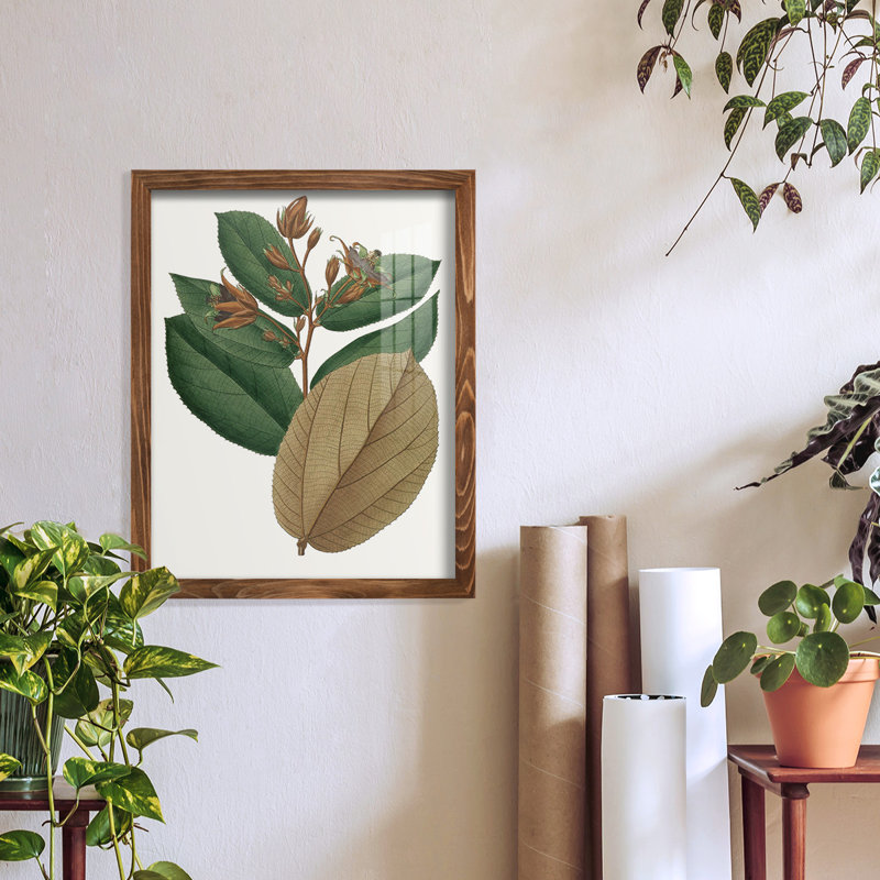 Fall Foliage III, reproduction d'art encadrée, H 15 po x l 12 po x P 1 po, Noyer