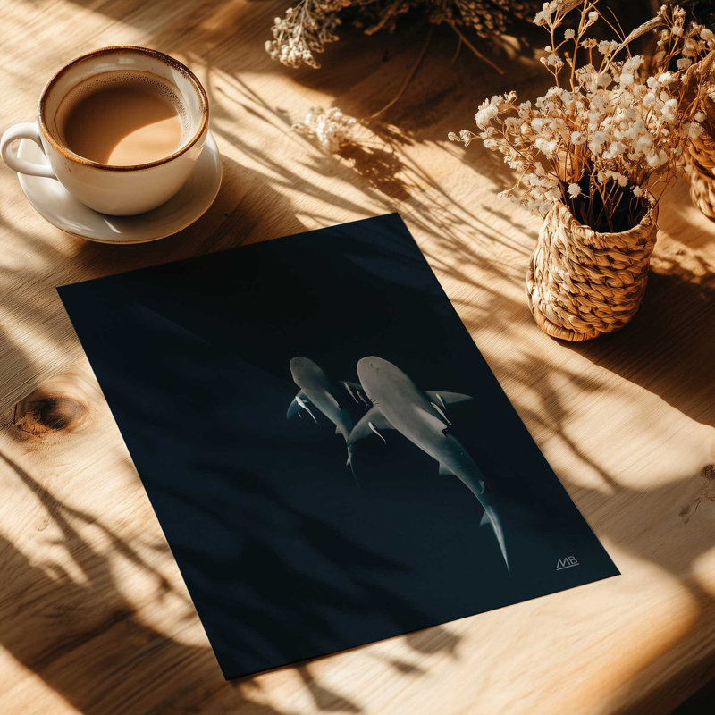 Serene Shark Shadows Print, 11.25" H x 9.25" W, Gold