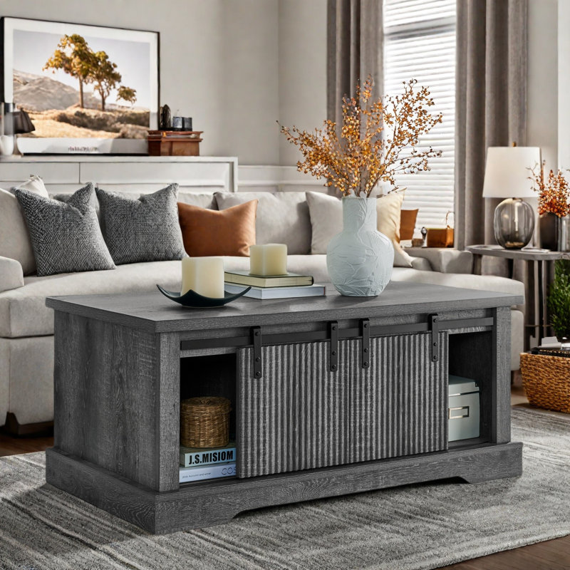 Table basse Juarez avec rangement et porte coulissante, Grey, Gris