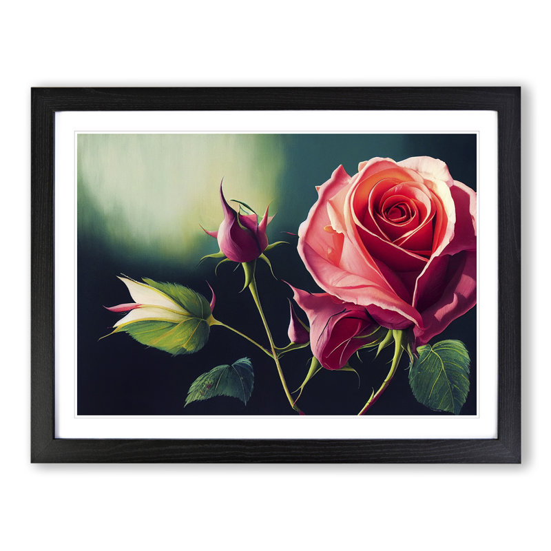 XH1022-8126X Splendid Rose Flowers - Single Picture Frame Print, 34cm H x 46cm W x 2cm D, Black
