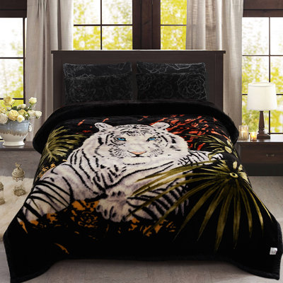 Couverture  Tiger Winter Wram