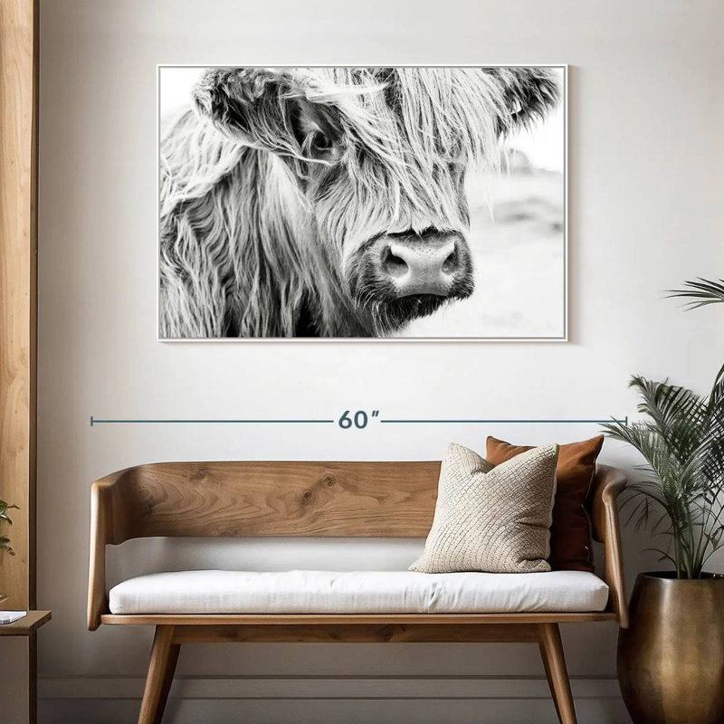 Vache à poils longs, Cadre flottant blanc, 46 po x 31 po