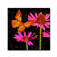 «Color Pop II» par Tina Lavoie, impression sur toile-23091899
