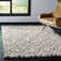 Adessa Shag Performance Geometric Rug