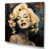 Wrapped Canvas