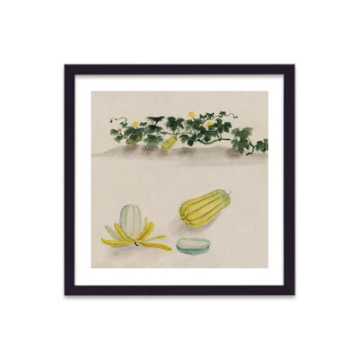 Vintage Japanese Vegetable Squash2 by Vouvart - Single Picture Frame Print