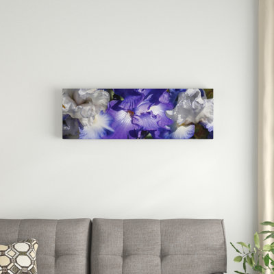 «Close-up of Iris and Blue Flowers II», reproduction de photo sur toile