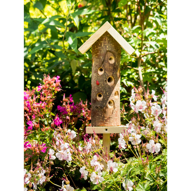 Nase Mounted Ladybird House