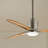 Ridley 60'' Ceiling Fan with LED Lights-82941944