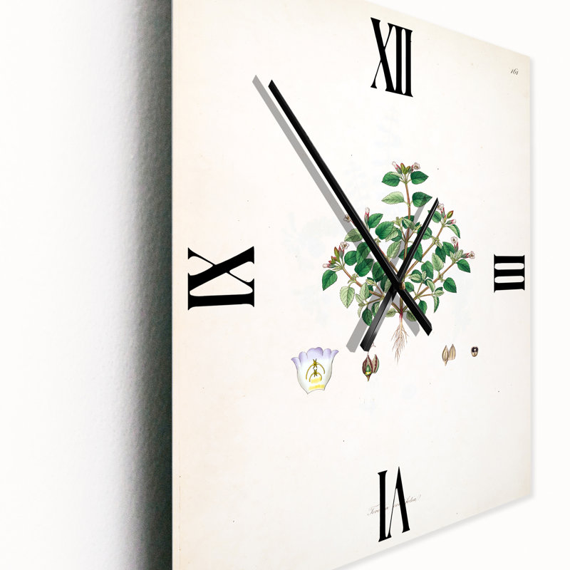 Horloge murale Plant Life, Très grand