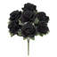 Doux rosier-578715244