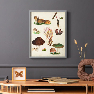 Mushroom Species IX Framed Print - Solid Wood