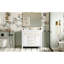 36" Ceramic Sink Bathroom Vanity, Modern And Solid Wood Construction, 4 Drawers & 2 Cabinets, White, Storage Cabinet With Sink, Design, Solution-192188928