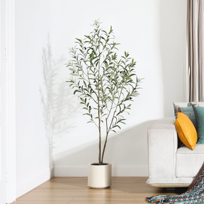 Altman Faux Olive Tree with White Planter