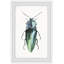 Pointy Green Bug - cadre photo, reproduction d'art-26129235