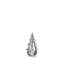 Silver Leaf Evergreen-130431921