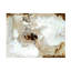 Art mural sur toile tendue - Melissa Wang «Pale Relic II», décoration murale pour le salon, la chambre à coucher ou le bureau - 14 x 19