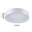 LED Flush Ceiling Light