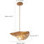 Luminaire suspendu 1 lumière Araia