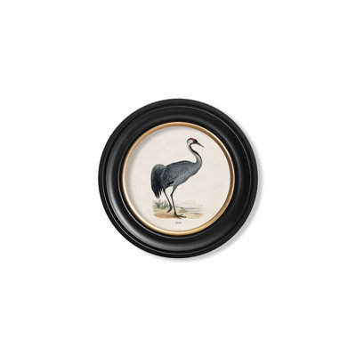 Crane by Mid-1800s - Single Picture Frame Print on Archival Matt 230gsm Paper