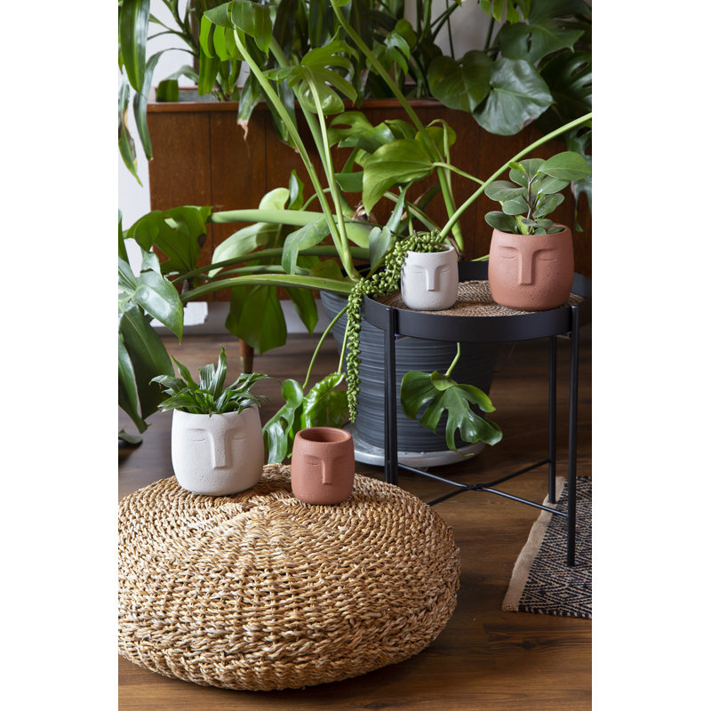Table de bout avec plateau Haras