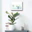 «Vessels Of Green» par Svetlana Aleynikova, art mural en verre acrylique-552130128