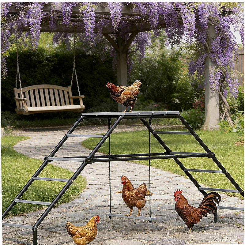 Chicken Activity Shelf,Chicken Coop Perches