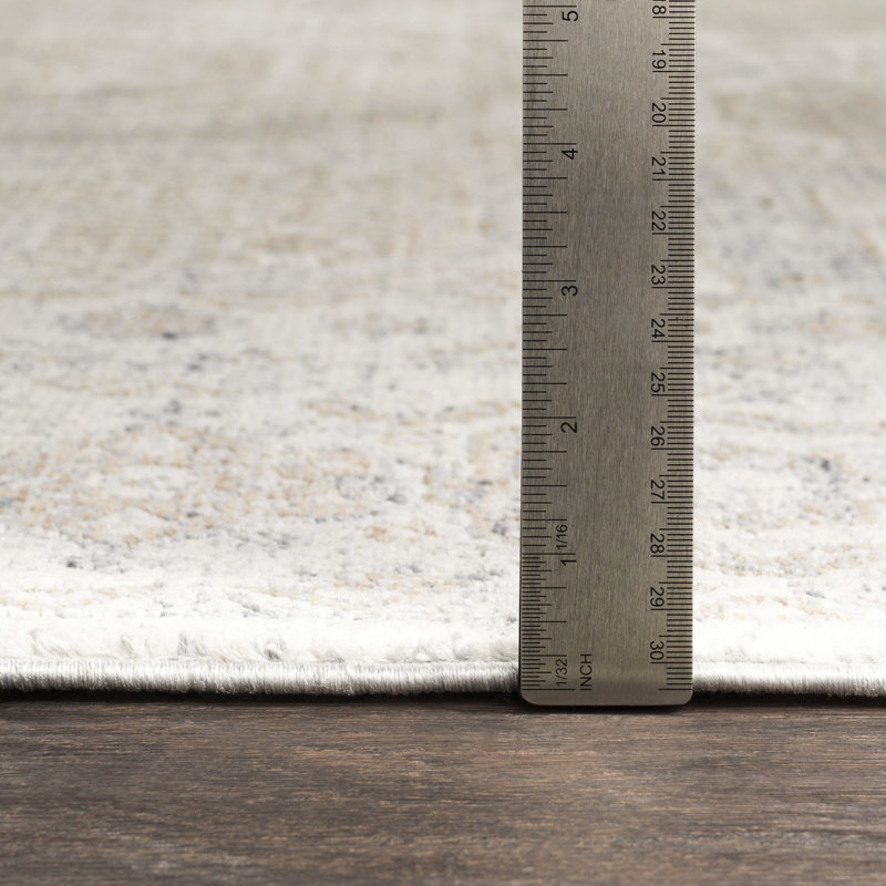 Tapis gris de style oriental Bechtel, Rectangle 2 pi x 3 pi