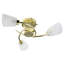 Saniya Glass Semi Flush Mount-28965237-73820048