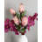 Pink Mink Protea 29"