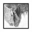 « b&w chevaux vii », reproduction de photo sur toile-30274381-72569537-72569538