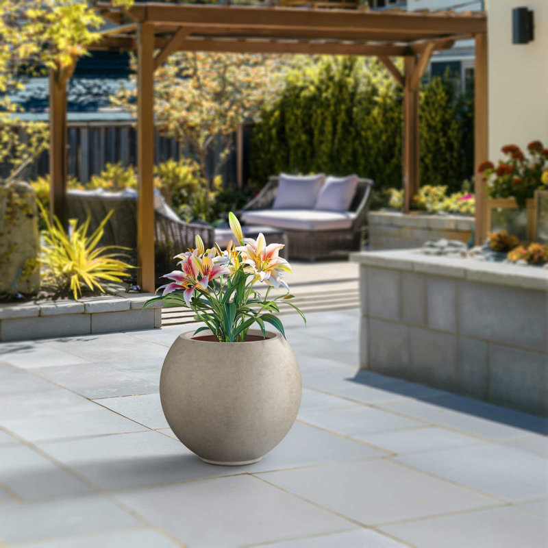 Petit pot à fleurs / pot rond en béton avec trous de drainage, Gris clair (intérieur amélioré)