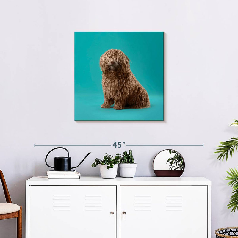 Crowle Komondor Dog, H 24 po x l 24 po