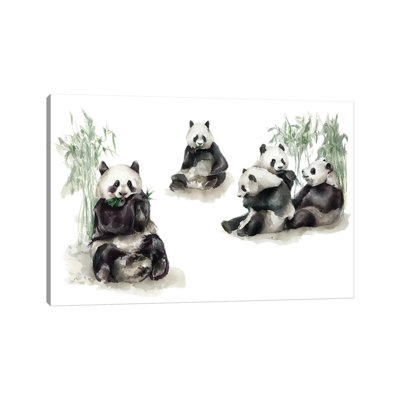 Animals
