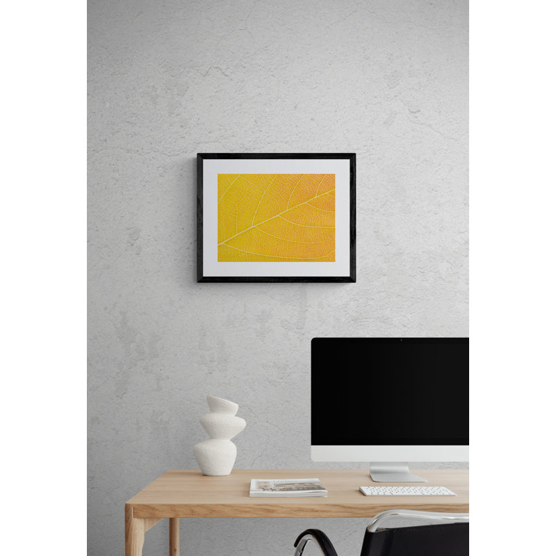 Feuille d'automne par Philippe Moisoux - photographie, Papier avec cadre noir, 16" H x 20" W
