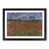 Black Framed selected