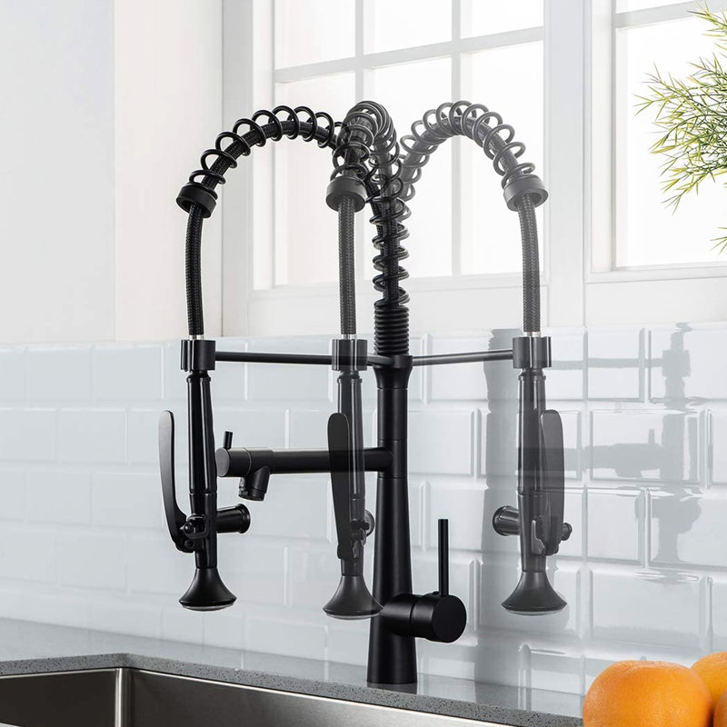 Robinet de cuisine de style commercial - Ensemble d'installation de bande noire matte pré-rinçage robuste à poignée simple
