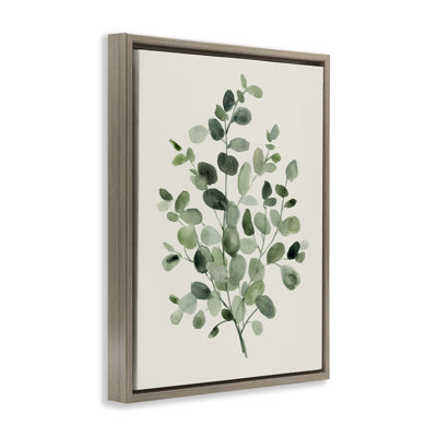 Dappled Herb Leaves