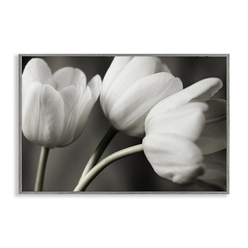 Rangée de tulipes monochromes, estampe numérique, conception par Tom Quartermaine, Giclée de ferme grise encadrée