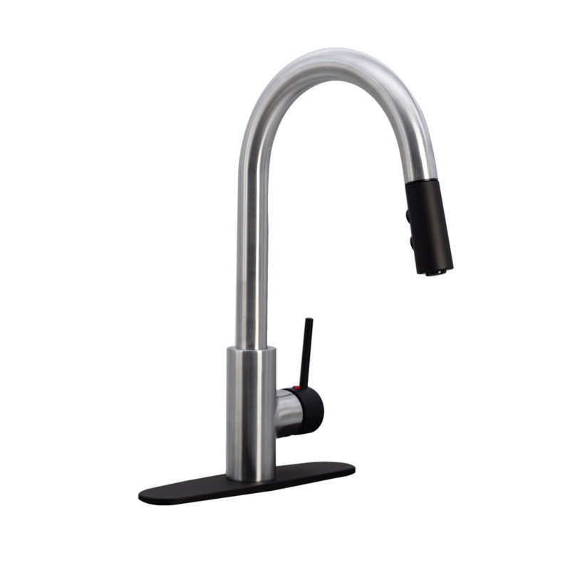 Dual Spray Push Button Mode Kitchen Faucet with Pull Down Sprayer Head, Stainless Steel/Matte Black