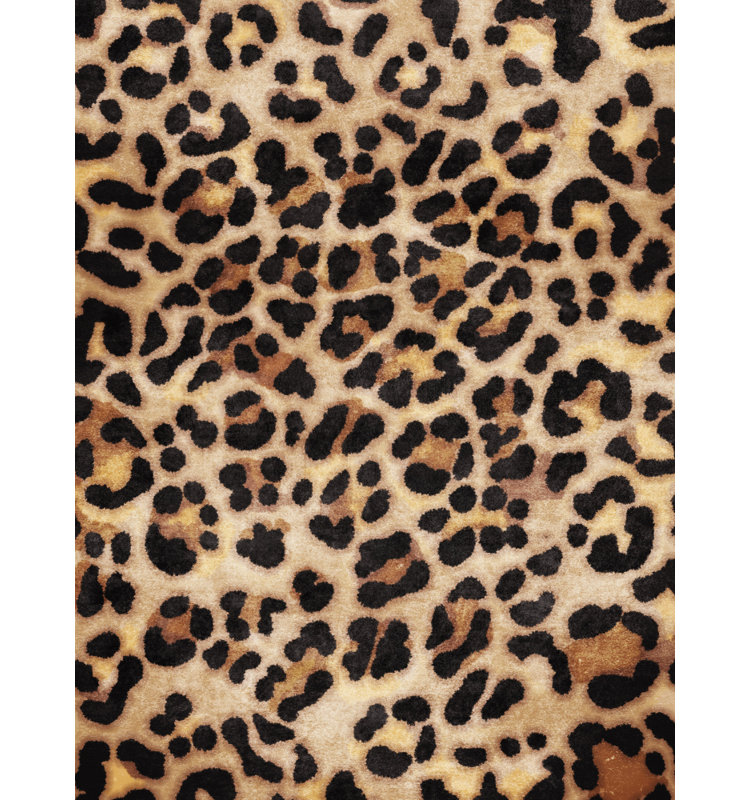 Wrapped Canvas Print, 50.8 cm H x 76.2 cm W