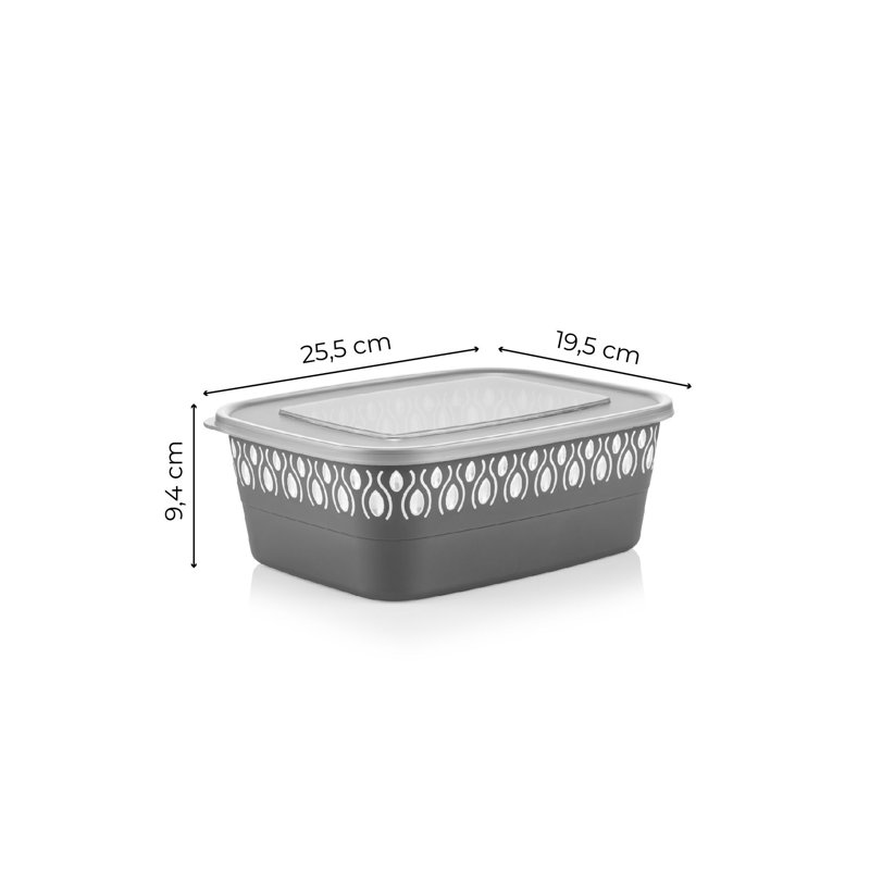 Ensemble de 2 contenants alimentaires, gris