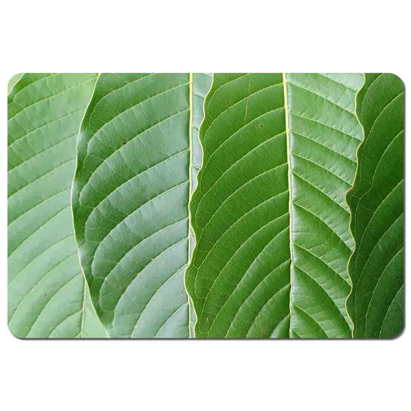Mintautas Polyester Coated Hardwood Rectangle Placemat