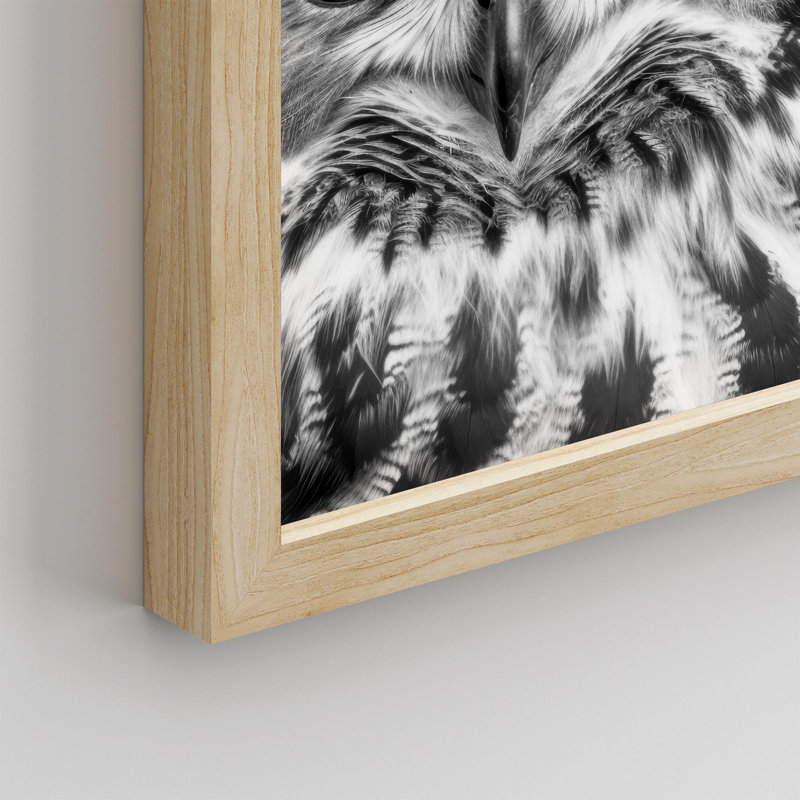 "Photographie de hibou noir et blanc" sur, Naturel, H 10 po x l 8 po