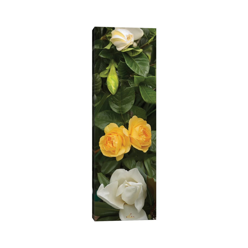 Close-Up Of White Poppies With Yellow Roses - Wrapped Canvas Panoramic Print, 182.88 cm H x 60.96 cm W x 3.175
