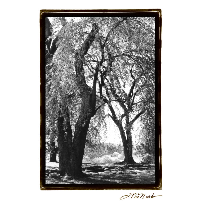 Summer Shade III - Wrapped Canvas Painting, 46cm H x 30cm W x 3.8cm D
