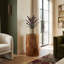 Chamcha Round Pedestal Plant Stand