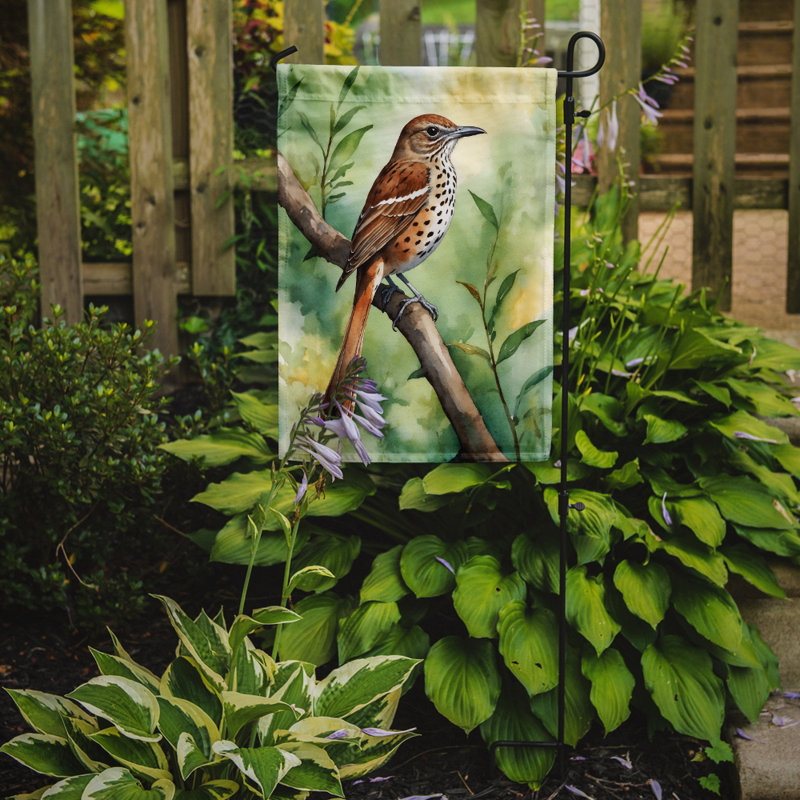 Drapeau de jardin, Moqueur de Géorgie - Géorgie